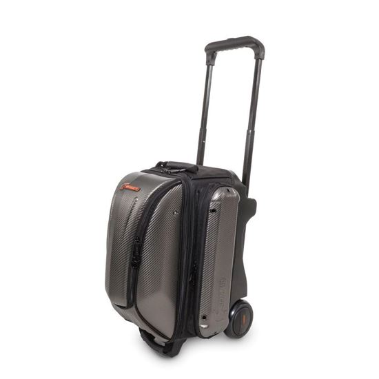 Picture of Hammer Carbon Shield 2-Ball Roller - Carbon